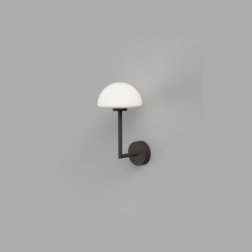 Dark Bronze Dome Long Arm Wall Light