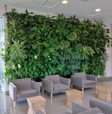 Vertical Green Walls | ArchiPro NZ