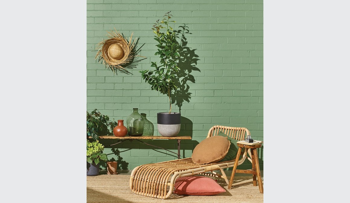 Eggshell Acrylic Paint in Bayleaf ArchiPro NZ