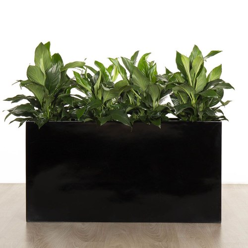 Gloss Black Auchenflower Trough
