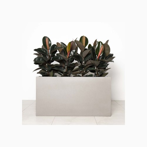 Grey Stone Auchenflower Trough