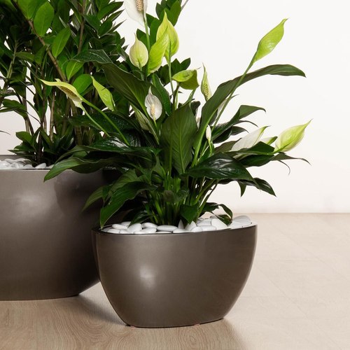 Gloss Charcoal Chelmer Bowl