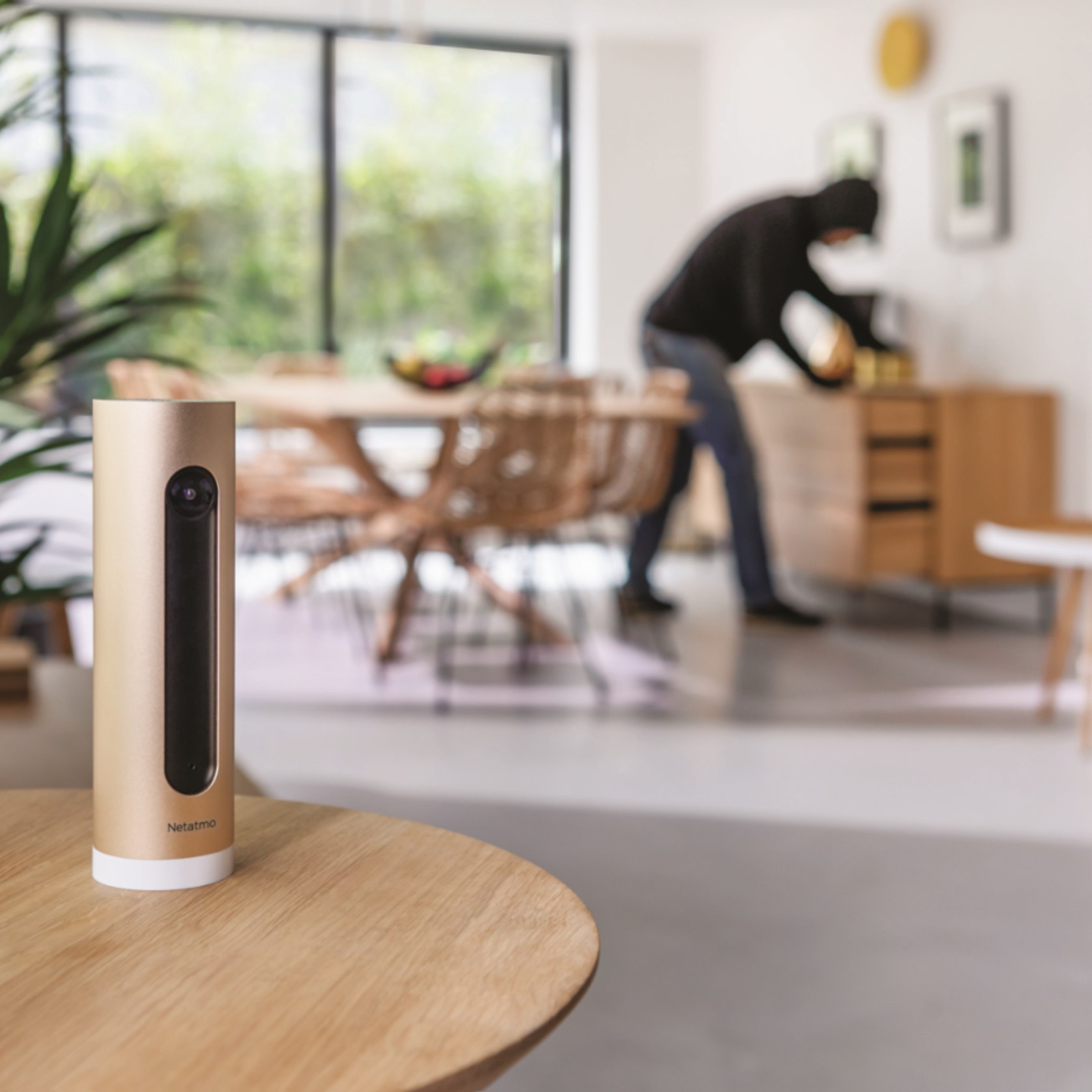 Netatmo welcome online alexa