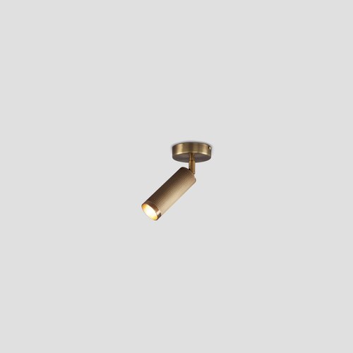 Antique Brass Spot Ceiling Light