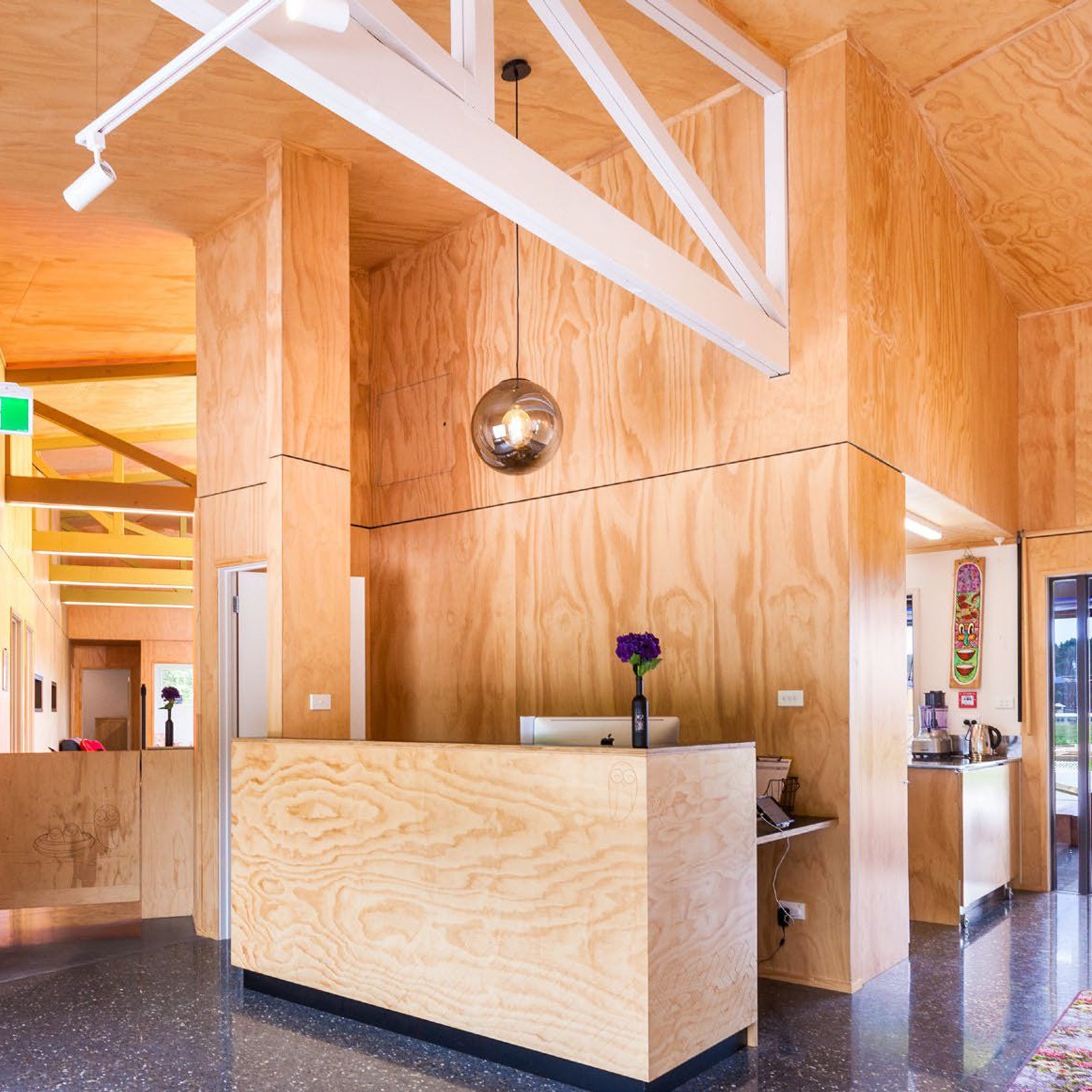 Chilean Pine Joinery Plywood ArchiPro NZ