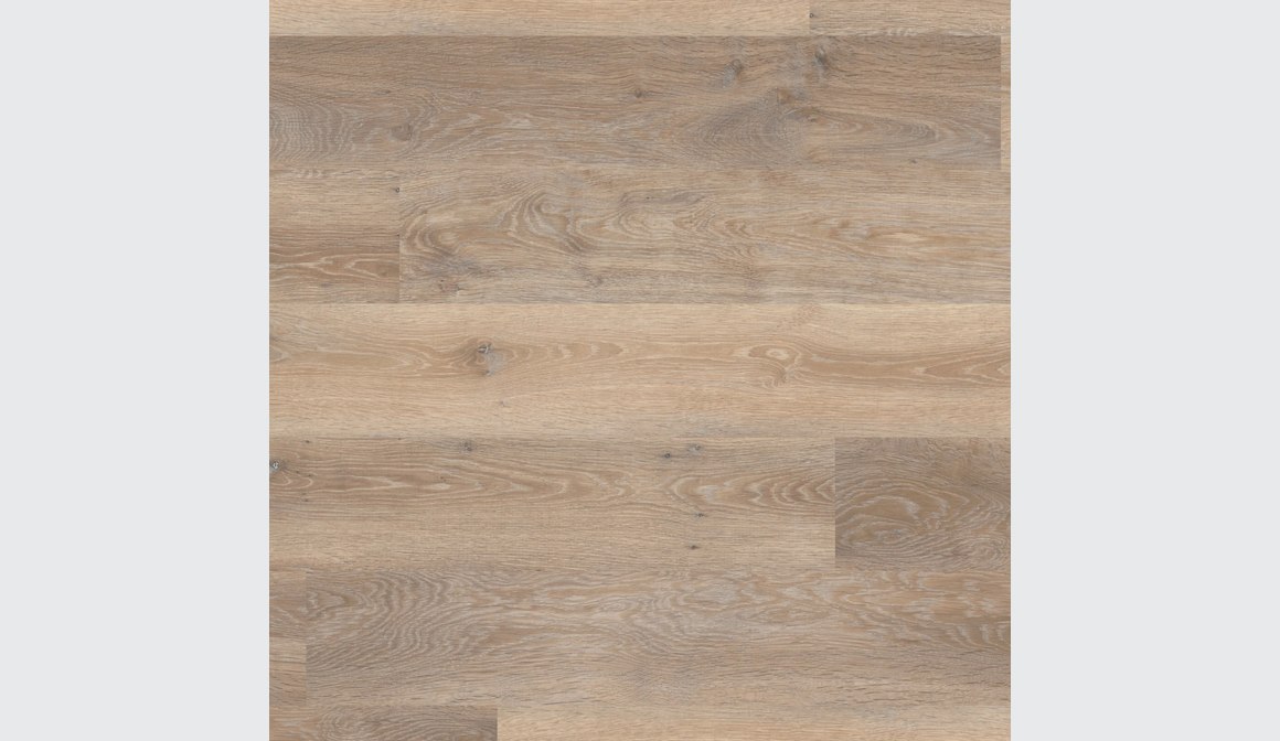 Rose Washed Oak Flooring ArchiPro NZ