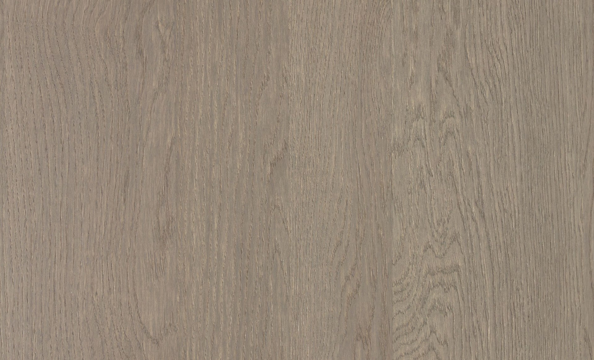 Alor Asta Veneer Panel