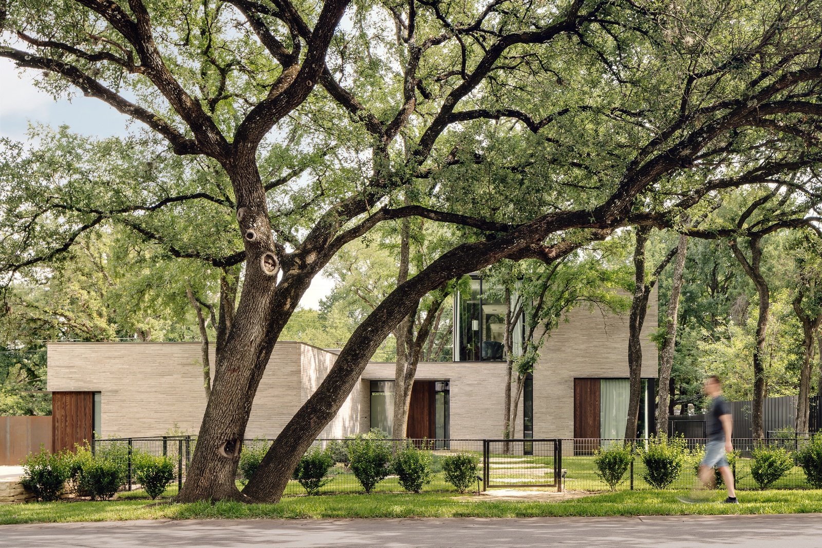 Rollingwood Residence AIA Austin - Merit Award
