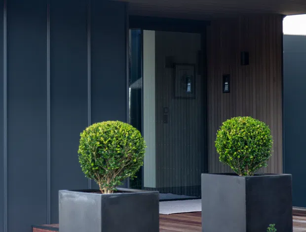 Exterior view of a contemporary residential entry with dark vertical cladding, a broad covered porch, timber decking and steps, glazed entry door, and two large square planters with clipped spherical shrubs. Low landscaped planting borders the approach, while a sloped metal roof and guttering are visible above.