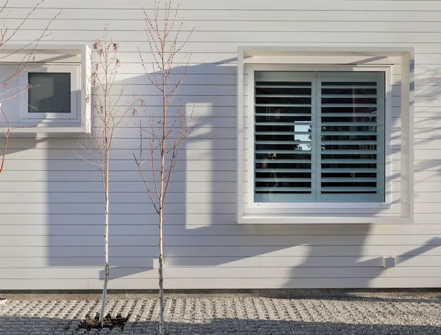 Close-up exterior view of a light grey horizontal weatherboard wall with two white-trimmed windows. The larger window has dark horizontal louvres or shutters, while the smaller square window has dark glazing. Young leafless trees and a patterned gravel or concrete strip sit in front of the facade, with strong sunlight casting shadows across the wall.