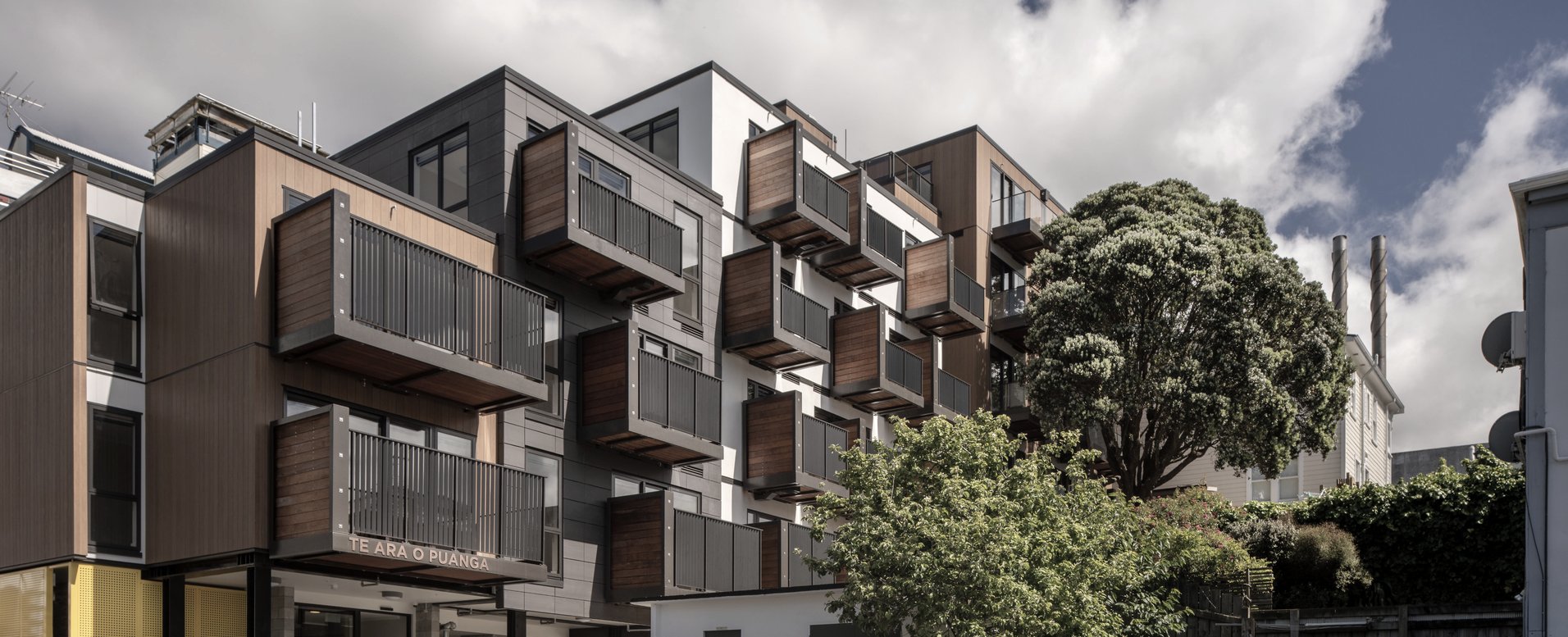 Mary Potter Apartments by Archaus Architects ArchiPro NZ