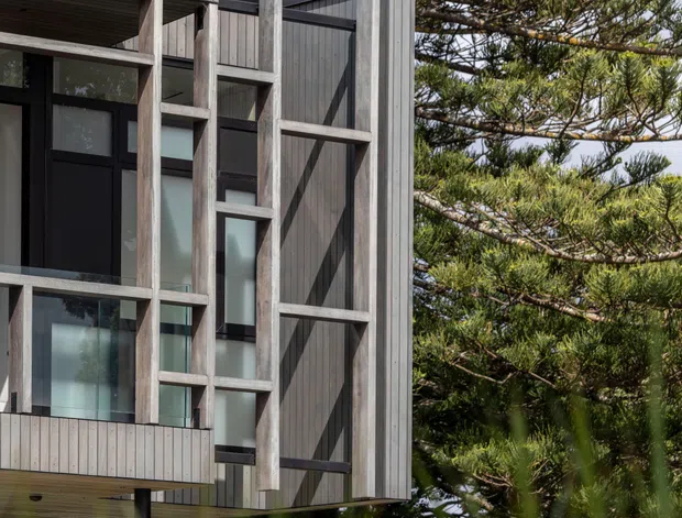 Exterior architectural photograph of a contemporary elevated timber-clad building set among mature coastal-looking trees. The facade combines dark vertical timber cladding, exposed pale structural framing, large black-framed glazed openings, and a projecting upper volume supported on slender posts. Dense vegetation partially obscures the lower level and a simple boundary fence is visible.