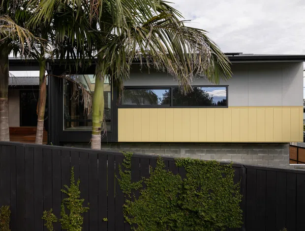 Exterior view of a contemporary single-storey house, featuring a flat roof, light grey upper cladding, a yellow timber-look vertical feature panel, dark trim, and a low concrete-block base. Palm trees and a dark timber privacy fence frame the foreground.