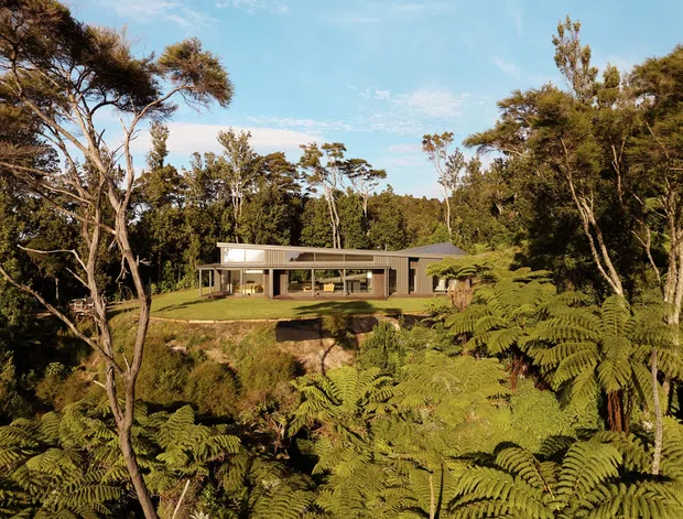 A low, elongated modern house set on a cleared elevated lawn within dense native forest. The building has extensive glazing, slender horizontal roof planes, and a restrained neutral facade, with large tree ferns and mature trees dominating the foreground and surrounding landscape.