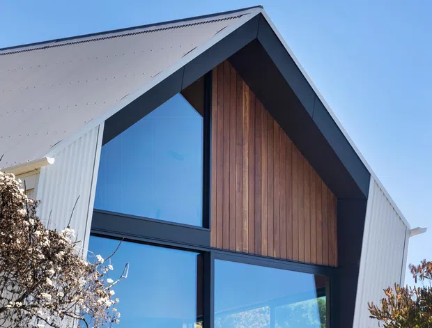 Close-up exterior view of a contemporary gabled house facade under a clear blue sky. The facade combines dark window framing, large reflective glazing, vertical warm timber cladding within the gable, and pale corrugated metal wall and roof surfaces, partially screened by shrubs.