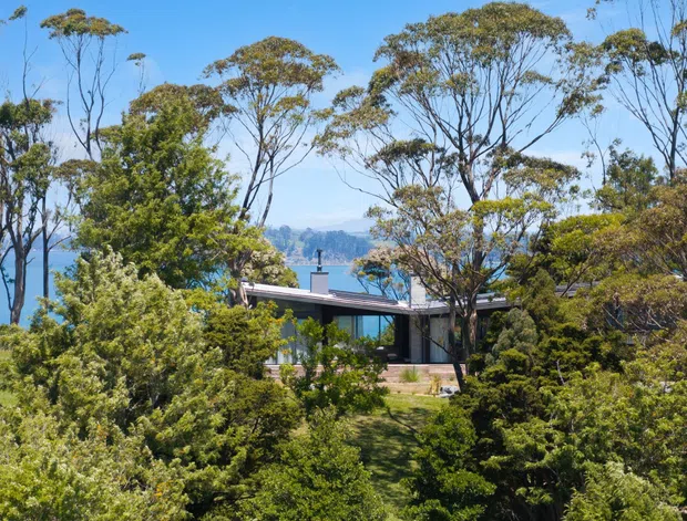 A low-slung modern house is partially concealed within dense native vegetation. The single-storey structure has broad glazing, dark slim framing, and a shallow angled roof, with a blue body of water and distant wooded hills visible beyond the trees. The scene is photographed in bright daylight from an elevated exterior viewpoint.