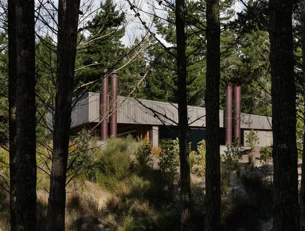 A low, contemporary building partially obscured by a dense stand of pine trees and native-looking grasses. The structure has a simple sloping metal roof, muted grey-brown wall cladding, dark recessed glazing or openings, and several tall cylindrical rust-red chimneys or flues. The setting is heavily wooded and natural, with a subdued, earthy architectural palette.