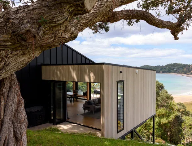 A compact modern coastal home elevated on slender supports above a sloping site, viewed from under a large mature tree. The building combines dark metal cladding with warm vertical timber cladding, extensive black-framed glazing, and a sharply pitched roof section. An open living area is visible through the glazing, while a sandy beach and turquoise bay appear in the background.