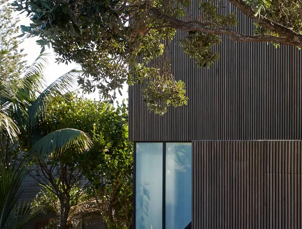 A contemporary residential building exterior partially framed by mature tropical and subtropical landscaping. The facade features dark vertical slatted cladding, a tall frosted or translucent glazed opening, and a sharply angled dark-framed window base. A landscaped entry path with stepping stones, gravel, low planting, and a rendered boundary wall leads toward the building.