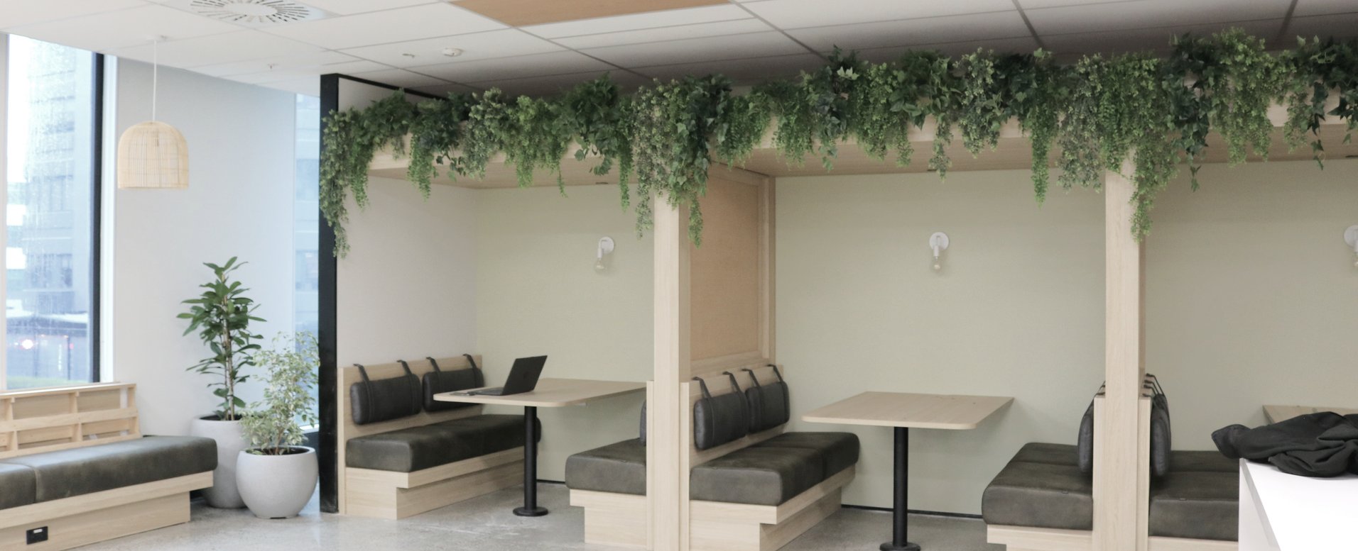 T&G Global Artificial Installation Hire Plants ArchiPro NZ