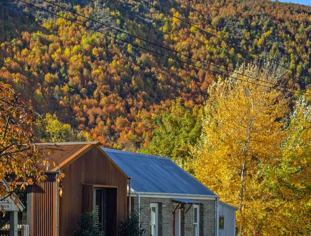 A small group of low-rise buildings at the edge of a road, set against a densely forested mountain slope in vivid autumn colours. The foreground building combines vertical dark timber cladding with a pitched roof, while the adjacent light masonry building has a corrugated metal roof and simple rectangular windows. Utility lines cross the upper frame, and mature yellow-leaved trees surround the buildings.
