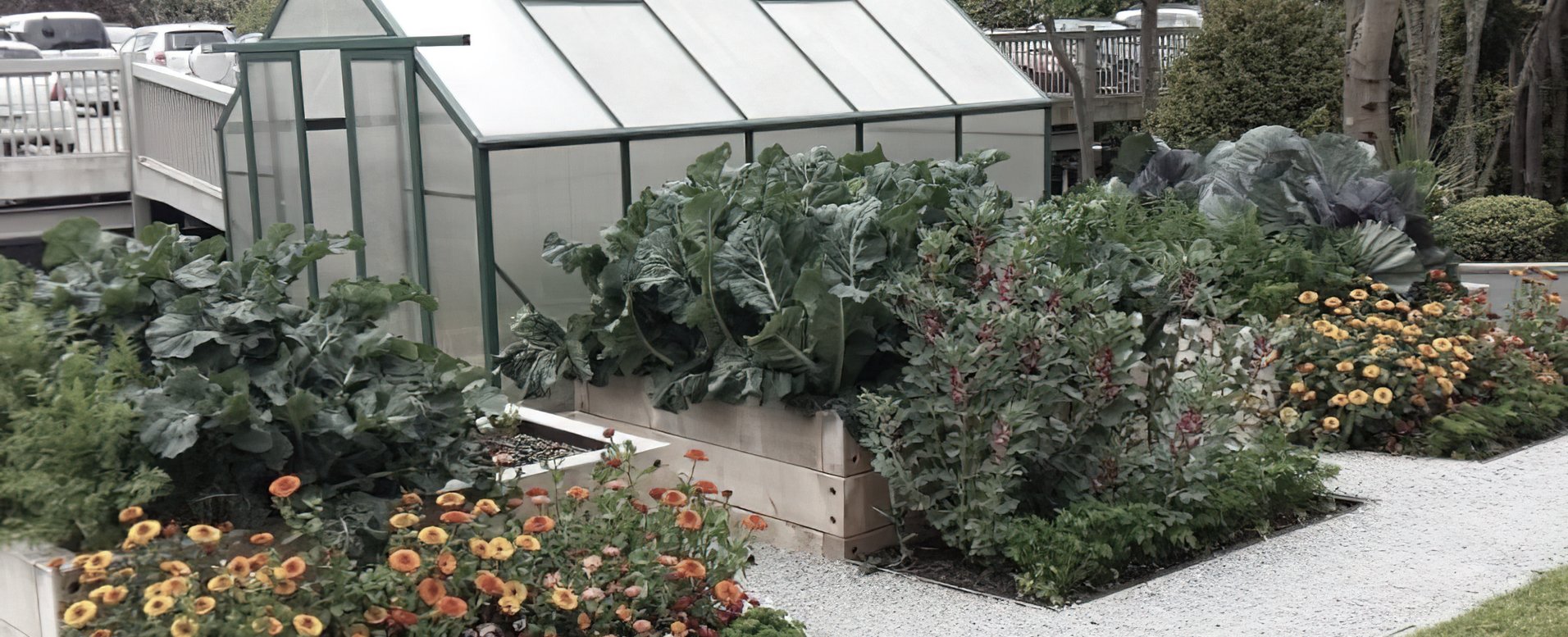 Mercy Hospital Productive Gardens Neville Stewart Landscaping