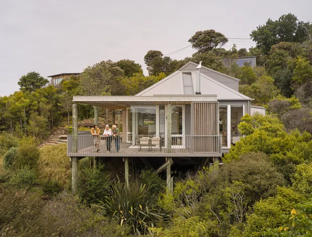 Exterior view of a raised, light-coloured residential house nestled into dense native vegetation on a sloping site. The home has a pitched gable roof, vertical weatherboard-style cladding, extensive glazing, a covered front deck with balustrades, and a vertical timber privacy screen. Access stairs climb through the landscaped bush toward the house.
