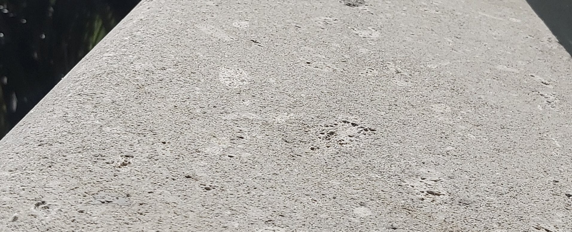 Hinuera Stone Restoration and Protection Application by Stone Lab