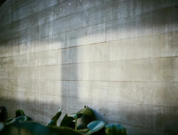 Close-up architectural detail of a horizontally jointed, weathered concrete wall with soft light creating tonal variation across its raw surface. Dark green foliage is visible along the lower edge, adding a natural foreground contrast. The image is moody and focused on the wall texture rather than a complete room or building.