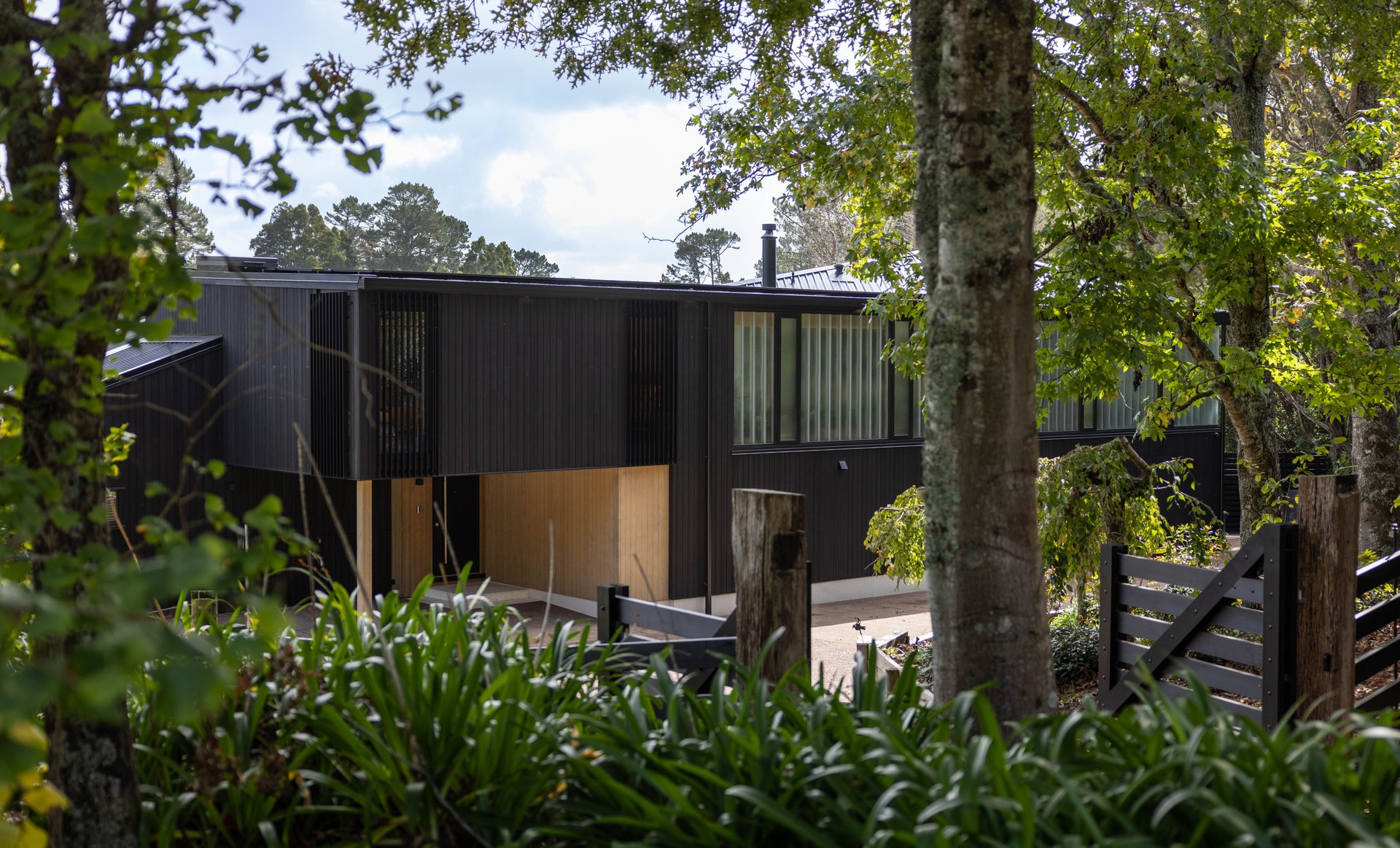 Kauri house