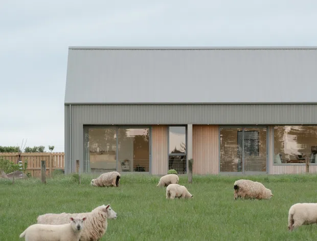 A contemporary single-storey rural building with a simple gabled or pitched roof form, grey corrugated metal cladding, and large glazed openings framed with timber-toned panels. The building sits behind a grassy paddock with several sheep in the foreground, creating a clear farm setting. The composition is calm and minimalist, with muted grey, green, and natural timber tones.