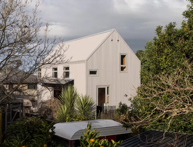 Exterior view of a compact, multi-level residential building with a steep gable roof and pale vertically ribbed cladding. Dark-framed windows and doors punctuate the simple facade, which is partially screened by dense garden planting and a small covered structure in the foreground. The overcast sky and exposed timber-like vertical detailing create a restrained contemporary appearance.
