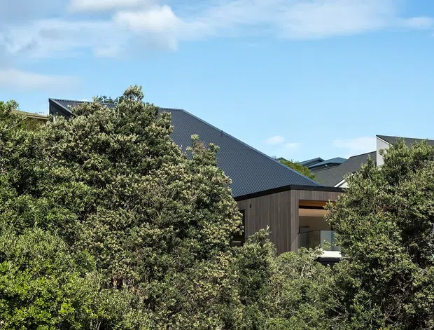 Exterior view of a contemporary residential building partially screened by dense mature greenery. The structure features dark charcoal pitched roofing, dark vertical timber cladding, and recessed outdoor or glazed areas, set beneath a bright blue sky.