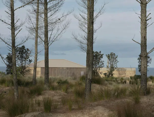 A low, elongated building is partially screened by tall trees and dune grasses in a coastal landscape. The structure has a simple pitched roof, pale tan corrugated-looking cladding, and a weathered timber-toned wall section. The muted sky and visible sea beyond create a quiet, natural setting.