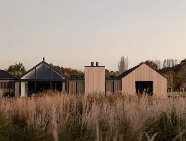 A low-rise residential compound composed of several dark timber-clad gabled volumes, including a glazed central pavilion and a taller central chimney-like element. The buildings sit behind a foreground of tall ornamental grasses, with mature trees in the background and warm late-day light.