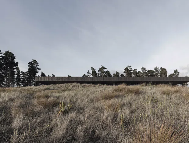A long, low dark-clad building stretches horizontally across a windswept grassy landscape, partially screened by tall coastal vegetation and trees. The restrained linear form and subdued natural palette create a minimalist architectural exterior scene beneath an overcast sky.
