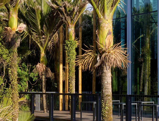 A lush tropical landscaped exterior beside a contemporary building, featuring dense palm planting, climbing greenery, and a raised timber deck or walkway with dark metal balustrades. Floor-to-ceiling blue-tinted glazing reflects the surrounding vegetation, while the structure appears elevated among the planting. Strong sunlight creates a warm, resort-like atmosphere.