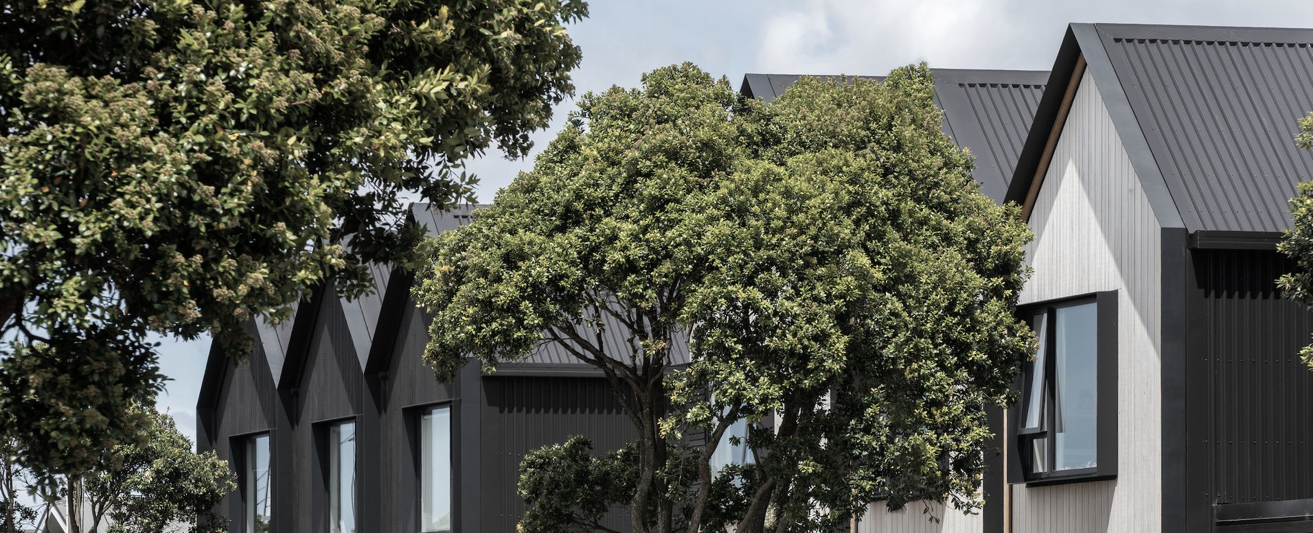 Petone Townhouses by Herriot Melhuish O'Neill Architects Ltd ArchiPro NZ