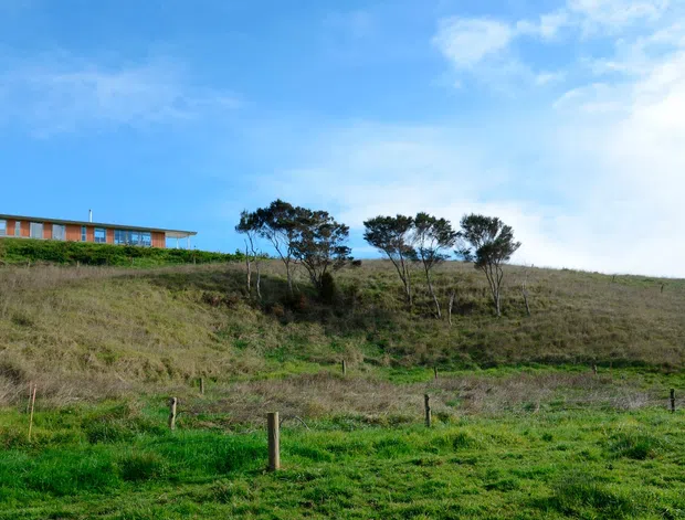 Wide exterior landscape view of a long, low modern house positioned on a grassy, gently sloping rural or coastal site. The building has extensive horizontal glazing and a shallow flat or low-pitched roof, with sparse wind-shaped trees and open pasture in the foreground under a bright blue sky.