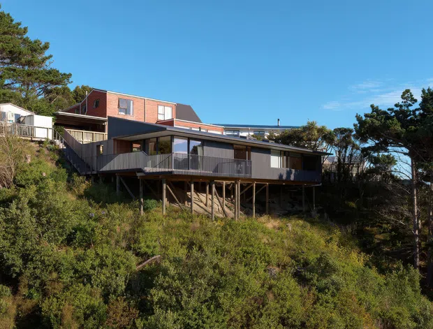 Exterior view of a contemporary multi-level house elevated on slender supports above a steep, densely vegetated coastal or bush site. The building combines dark horizontal cladding, extensive glazing, timber decks and railings, and a red upper-level volume with a pitched roof. Mature wind-shaped trees surround the house under a clear blue sky.