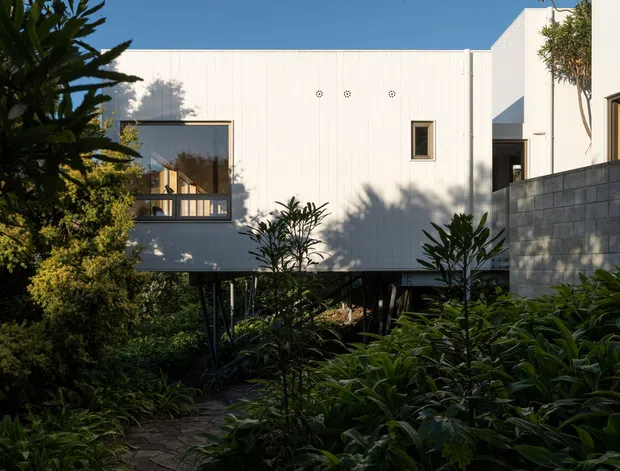 Exterior view of a contemporary white-clad, elevated building set within dense landscaped planting. The structure features simple rectilinear volumes, narrow vertical cladding, dark-framed windows, and a raised section supported on slender posts, with a stone or concrete block boundary wall at right and a garden path in the foreground.