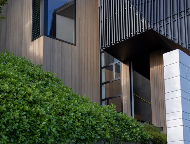 Close-up exterior view of a contemporary multi-level building, featuring vertical timber-look cladding, dark-framed glazing, a projecting upper volume with closely spaced vertical metal screens, and a white masonry block wall. Dense landscaped hedging partially obscures the lower facade.