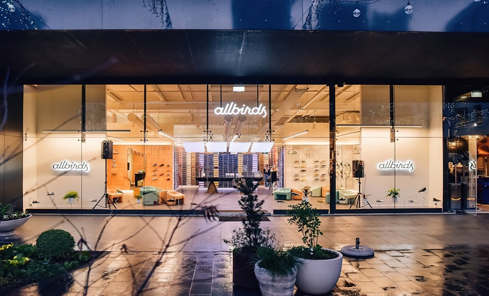 Allbirds Store - Britomart