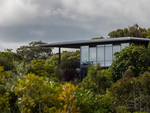 Exterior view of a contemporary, low-profile house partially screened by dense native landscaping. The building features a broad shallow roof, dark slender structural posts and framing, and a large glazed upper-level facade. The overcast setting and abundant greenery create a moody, natural presentation.