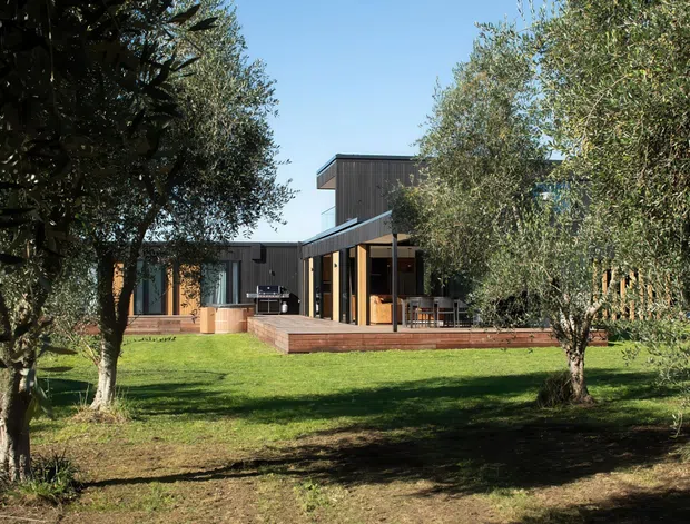 A contemporary single-storey residential house viewed from a landscaped garden, with dark vertical cladding, extensive glazing, a projecting upper roof volume, and a timber deck forming an outdoor entertaining area. Mature olive trees frame the foreground and sides of the property.