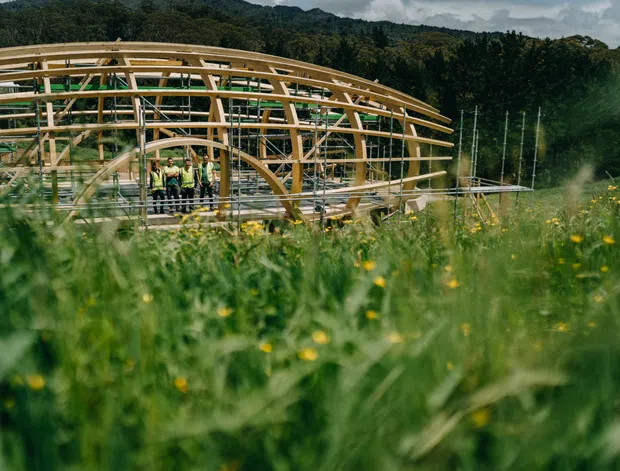 A partially constructed timber building with a sweeping curved roof and exposed structural framing, set in a lush rural or forested landscape. Workers stand on a raised platform within the open structure. The image has a documentary architectural-construction feel, viewed through a foreground of tall meadow grass and yellow wildflowers.