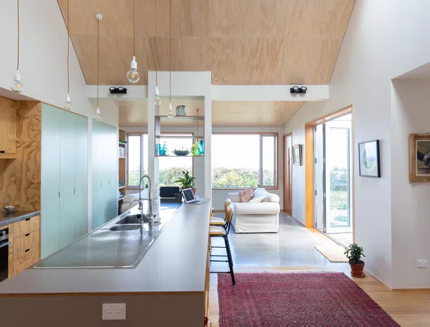 Open-plan kitchen and living area with a long central island, timber veneer cabinetry and matching plywood-lined ceiling, pale walls, pendant lights, and large windows and glazed doors overlooking greenery. The island separates the kitchen from a compact lounge with a sofa, stools, rug, and artwork. The space has a bright, warm, contemporary residential feel.