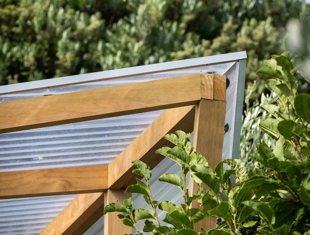 Close-up exterior view of a timber-framed structure with a sloping roof or wall plane clad in translucent corrugated material, partially screened by dense green vegetation. The image focuses on the junction of warm timber beams, diagonal bracing, and translucent ribbed panels against a leafy outdoor setting.