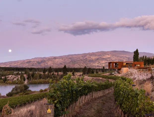 A dusk landscape view of a contemporary low-profile house set among vineyard rows on a sloping rural site beside a river or lake. The home has a long rectangular form, warm timber-toned exterior, extensive glazing, and a projecting or cantilevered section. A broad mountain ridge rises behind the property under a lavender-pink sky, with surrounding trees and cultivated vines.