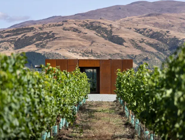 A compact modern house with a rust-toned metal-clad facade sits at the end of a narrow vineyard or orchard row. The building is partially screened by lush green planting, with a central dark-framed glazed entry or window. A dry, rugged mountain landscape rises behind it under a clear sky.